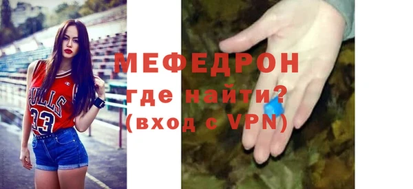 индика Арсеньев