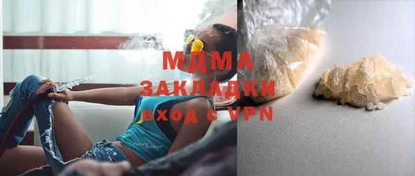 индика Арсеньев