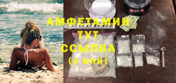 индика Арсеньев