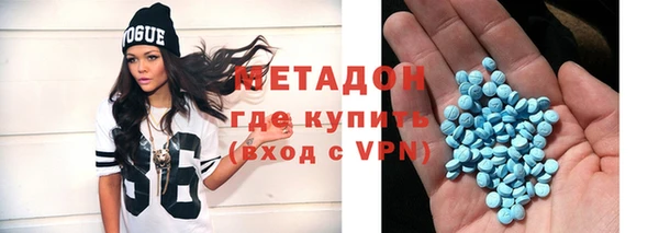 индика Арсеньев