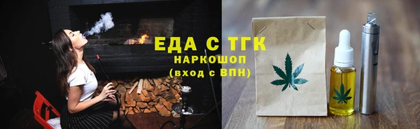 индика Арсеньев