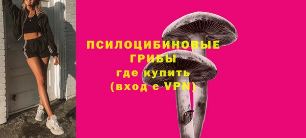 дживик Аркадак