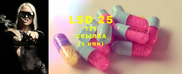 индика Арсеньев
