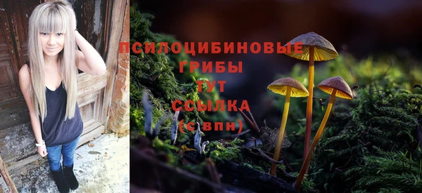 крисы Армянск