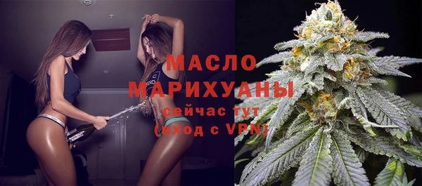 индика Арсеньев