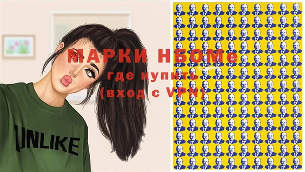 индика Арсеньев