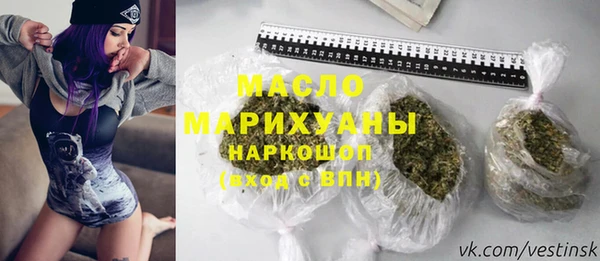 индика Арсеньев