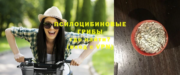 дживик Аркадак